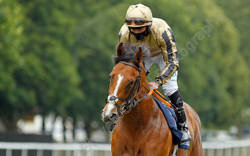 Sam-Maximus-0002 
 SAM MAXIMUS (P J McDonald)
Newmarket 8 Jul 2021 - Pic Steven Cargill / Racingfotos.com