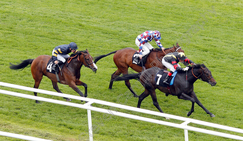 Global-Destination-0002 
 GLOBAL DESTINATION (Gerald Mosse) wins The Be Wiser Insurance Handicap
Newbury 13 Jun 2019 - Pic Steven Cargill / Racingfotos.com