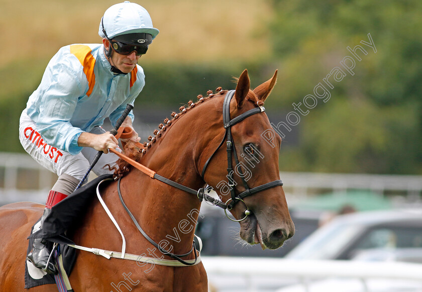 Dear-My-Friend-0002 
 DEAR MY FRIEND (Franny Norton)
Goodwood 26 Jul 2022 - Pic Steven Cargill / Racingfotos.com