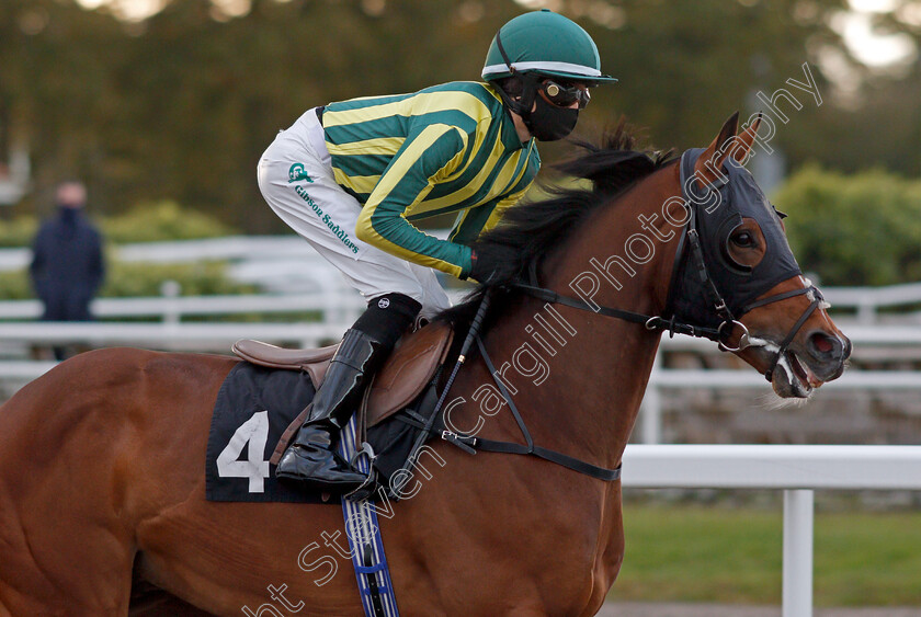 Thunderstone-0001 
 THUNDERSTONE (William Humphrey)
Chelmsford 15 Oct 2020 - Pic Steven Cargill / Racingfotos.com