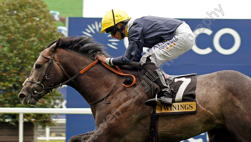 Speak-In-Colours-0007 
 SPEAK IN COLOURS (Ryan Moore) wins The Twinings Novice Auction Stakes Div1 Ascot 8 Sep 2017 - Pic Steven Cargill / Racingfotos.com