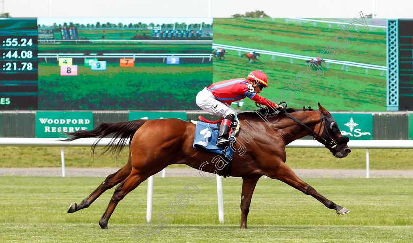 Sandy z-Slew-0004 
 SANDY'Z SLEW (Jose Ortiz) wins The Allowance Optional Claimer
Belmont Park 8 Jun 2018 - Pic Steven Cargill / Racingfotos.com