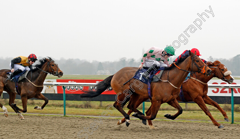 Dark-Alliance-0003 
 DARK ALLIANCE (Edward Greatrex) beats MADRINHO (farside) in The Play Slots At sunbets.co.uk/vegas Handicap Div1 Lingfield 12 Jan 2018 - Pic Steven Cargill / Racingfotos.com