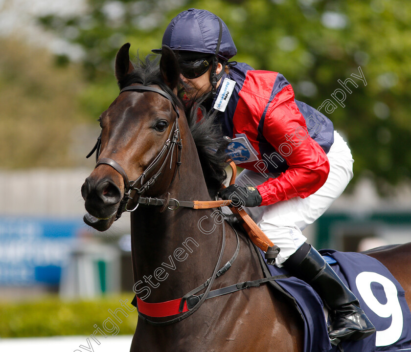 Power-Of-Darkness-0001 
 POWER OF DARKNESS (Hayley Turner)
Newmarket 4 May 2019 - Pic Steven Cargill / Racingfotos.com