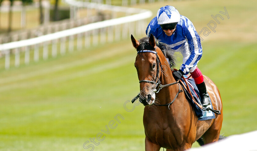 Fox-Degree 
 FOX DEGREE (Frankie Dettori)
Newmarket 30th July 2022 - Pic Steven Cargill / Racingfotos.com