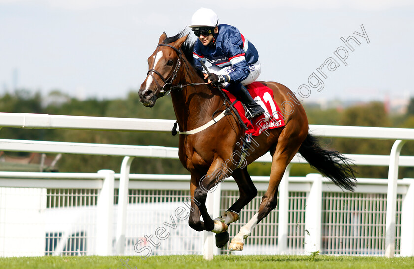 Dual-Identity-0004 
 DUAL IDENTITY (Marco Ghiani) wins The Virgin Bet Handicap
Sandown 2 Sep 2023 - Pic Steven Cargill / Racingfotos.com