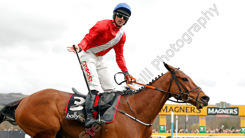 Envoi-Allen-0005 
 ENVOI ALLEN (Davy Russell) wins The Ballymore Novices Hurdle
Cheltenham 11 Mar 2020 - Pic Steven Cargill / Racingfotos.com