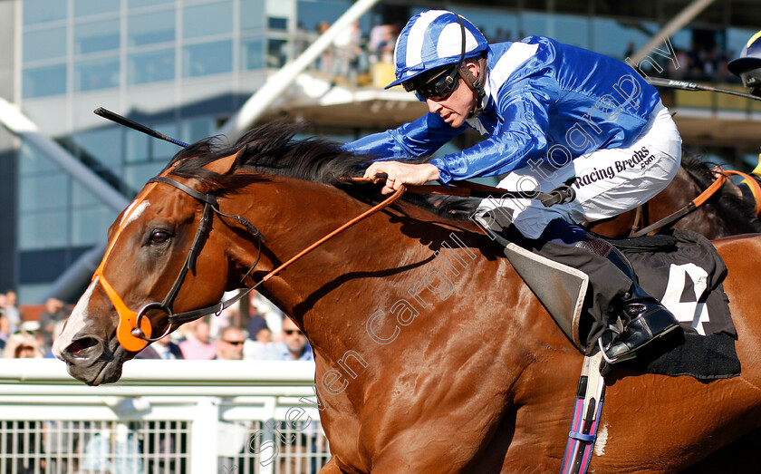 Tabarrak-0004 
 TABARRAK (Jim Crowley) wins The Dubai Duty Free Cup Stakes
Newbury 20 Sep 2019 - Pic Steven Cargill / Racingfotos.com