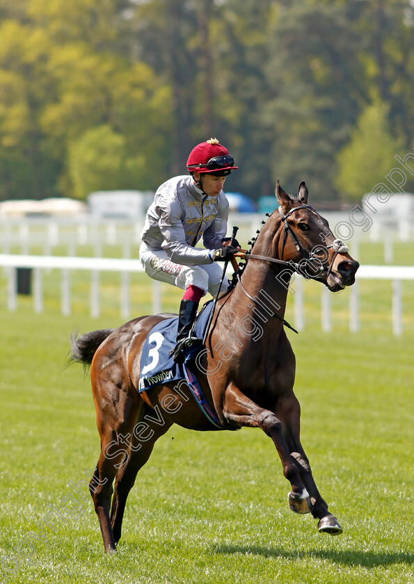 Balagh-0001 
 BALAGH (Oisin Murphy)
Ascot 3 May 2023 - Pic Steven Cargill / Racingfotos.com