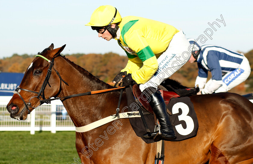 Leader-In-The-Park-0003 
 LEADER IN THE PARK (Ben Jones)
Warwick 22 Nov 2023 - Pic Steven Cargill / Racingfotos.com