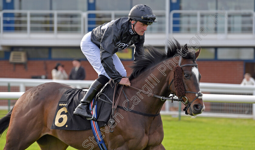 Rajmeister-0002 
 RAJMEISTER (Harry Burns) winner of The British Racing Supports Stephen Lawrence Day Apprentice Handicap
Nottingham 22 Apr 2023 - pic Steven Cargill / Becky Bailey / Racingfotos.com