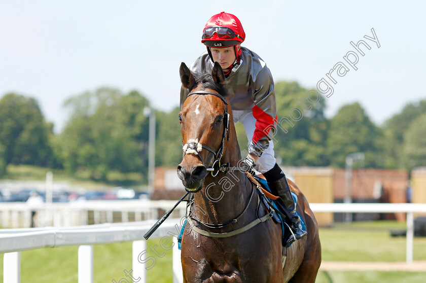 Dougies-Dream-0001 
 DOUGIES DREAM (Alex Jary)
York 16 Jun 2023 - Pic Steven Cargill / Racingfotos.com