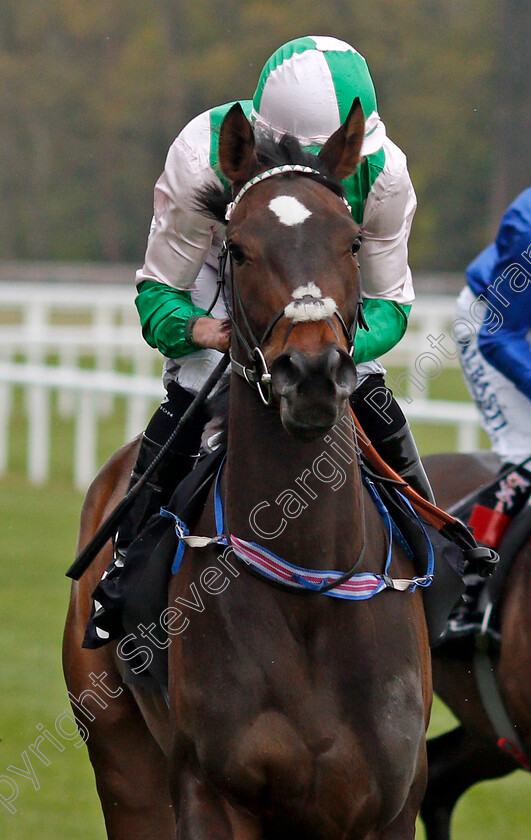 Prado-0002 
 PRADO (Ryan Moore)
Ascot 28 Apr 2021 - Pic Steven Cargill / Racingfotos.com