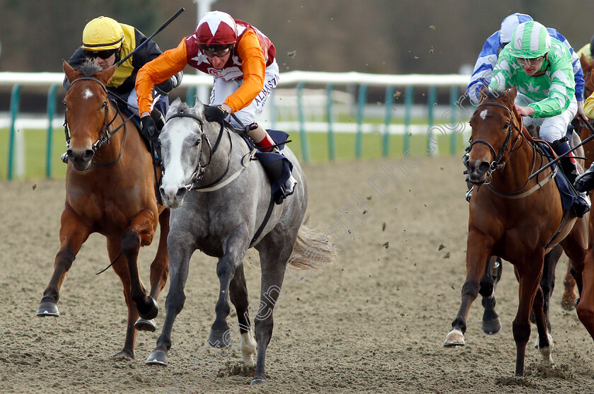 Lincoln-Spirit-0002 
 LINCOLN SPIRIT (2nd left, Adam Kirby) beats DELAGATE THE LADY (left) and EVER ROCK (right) in The Ladbrokes Home Of The Odds Boost Handicap
Lingfield 18 Jan 2019 - Pic Steven Cargill / Racingfotos.com