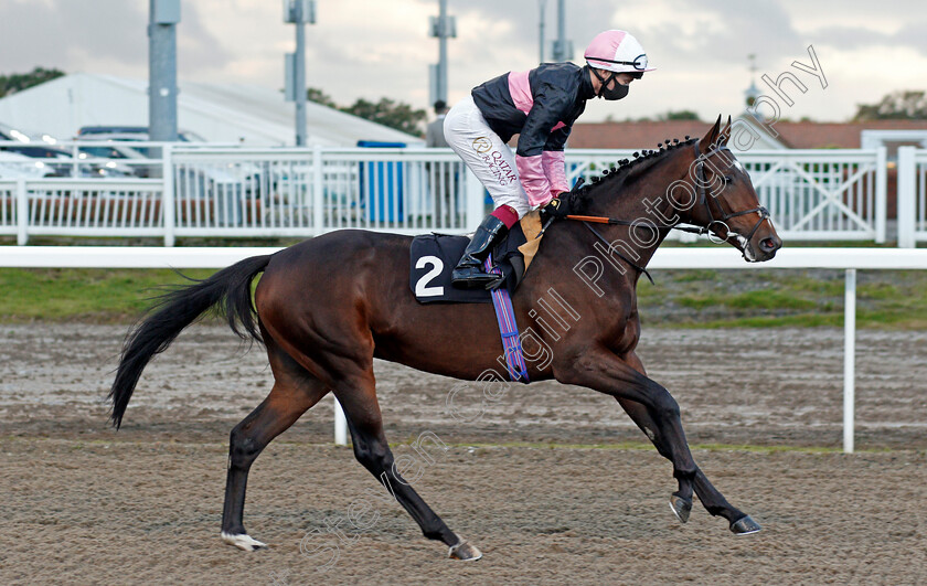 Discomatic-0001 
 DISCOMATIC (Oisin Murphy)
Chlmsford 15 Oct 2020 - Pic Steven Cargill / Racingfotos.com