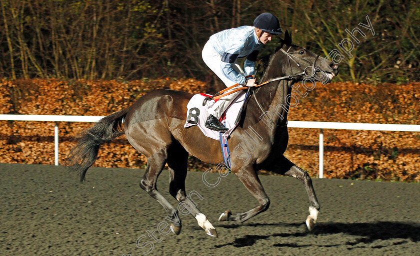 Affable-0003 
 AFFABLE (Rob Hornby)
Kempton 4 Mar 2020 - Pic Steven Cargill / Racingfotos.com