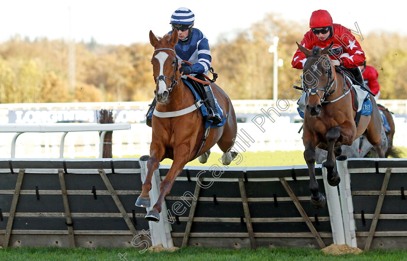 Celtic-Dino-0005 
 CELTIC DINO (left, Dylan Johnston) beats WADE OUT (right) in The Troy Asset Management Introductory Hurdle
Ascot 22 Nov 2024 - Pic Steven Cargill / Racingfotos.com