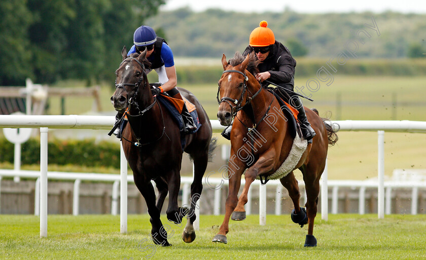 Addeybb-0005 
 ADDEYBB (right, Jason Favell) gallops with IRISH ADMIRAL (left, Adam Farragher) in preparation for next week's Eclipse Stakes
Newmarket 25 Jun 2021 - Pic Steven Cargill / Racingfotos.com