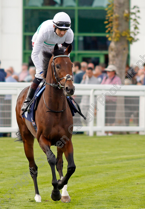 Storm-Castle-0001 
 STORM CASTLE (Robert Havlin)
Yarmouth 13 Sep 2022 - Pic Steven Cargill / Racingfotos.com