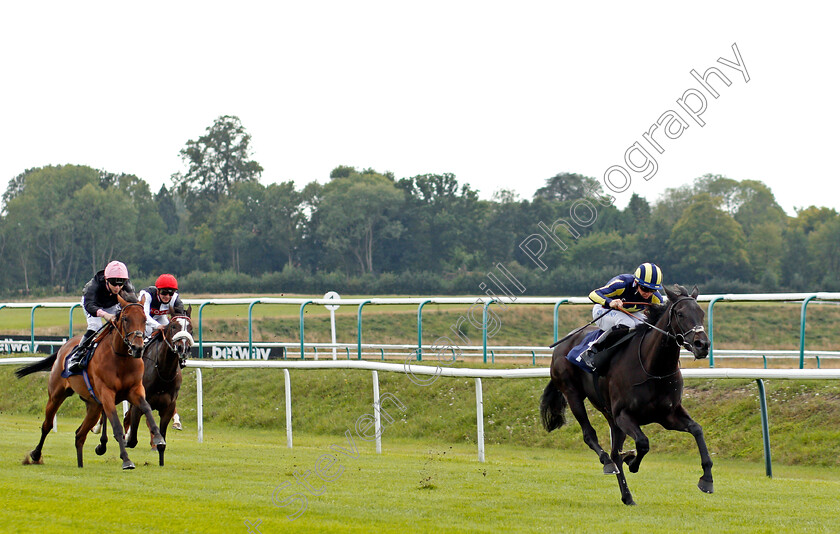 Waliyak-0001 
 WALIYAK (Ray Dawson) wins The Betway Fillies Handicap
Lingfield 2 Sep 2020 - Pic Steven Cargill / Racingfotos.com