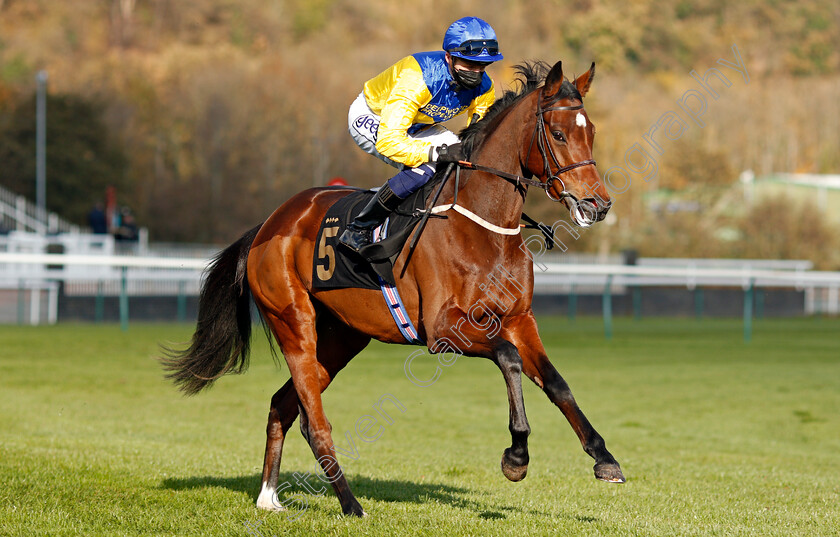 Gwenhwyvar-0002 
 GWENHWYVAR (David Probert)
Nottingham 4 Nov 2020 - Pic Steven Cargill / Racingfotos.com