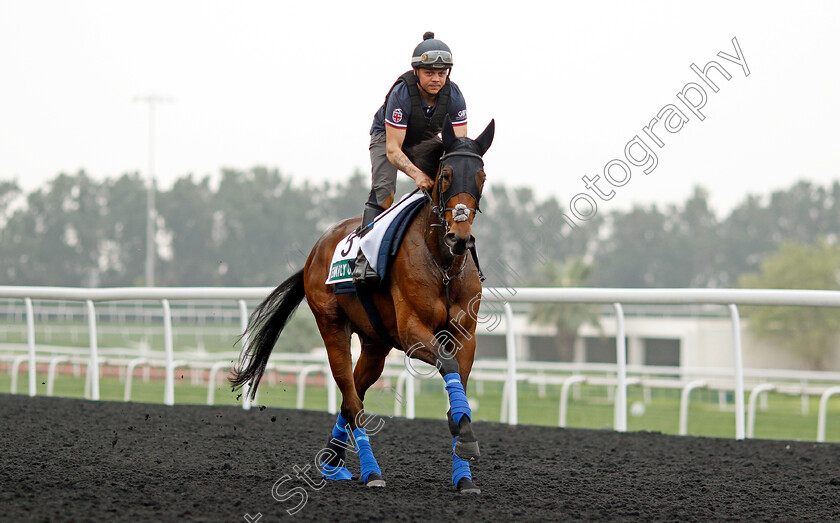 Emily-Upjohn-0001 
 EMILY UPJOHN training for the Sheema Classic
Meydan Dubai 26 Mar 2024 - Pic Steven Cargill / Racingfotos.com