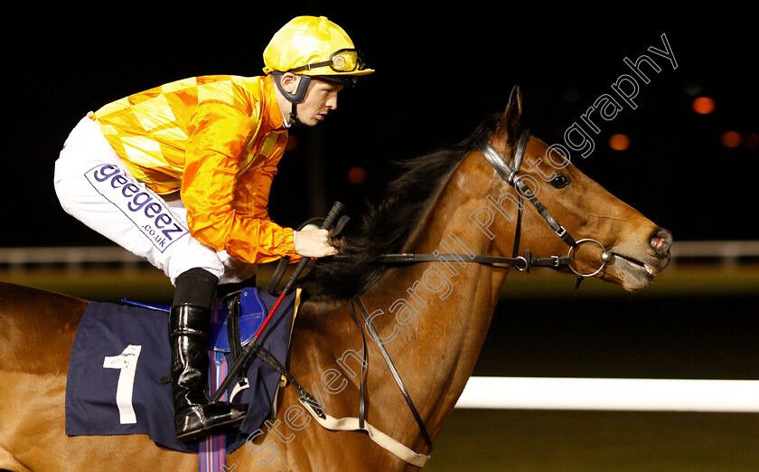 Flaming-Marvel-0002 
 FLAMING MARVEL (David Probert) before winning The Betway Live Casino Handicap
Wolverhampton 26 Feb 2019 - Pic Steven Cargill / Racingfotos.com