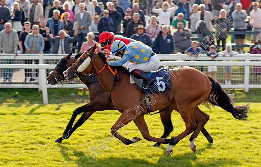 Dashing-Dick-0003 
 DASHING DICK (nearside, Laura Pearson) beats OLD NEWS (farside) in The Silk Series Handicap
Yarmouth 14 Jul 2021 - Pic Steven Cargill / Racingfotos.com