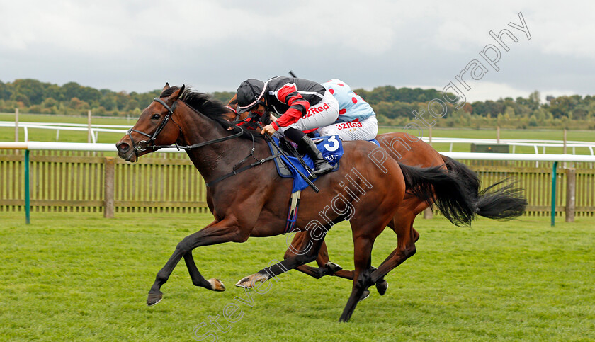 Apphia-0004 
 APPHIA (Josephine Gordon) wins The Princess Royal Nayef Stakes Newmarket 29 Sep 2017 - Pic Steven Cargill / Racingfotos.com