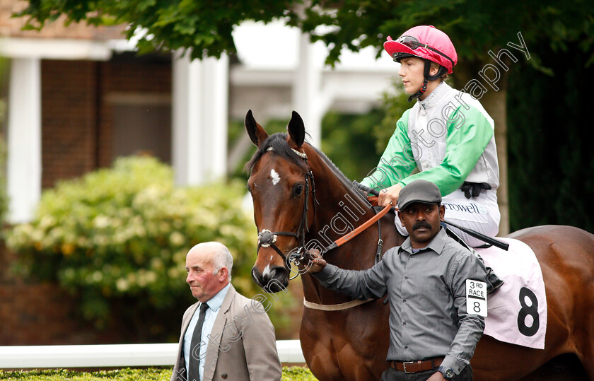 Soldier s-On-0002 
 SOLDIER'S ON (Georgia Cox)
Kempton 5 Jun 2019 - Pic Steven Cargill / Racingfotos.com