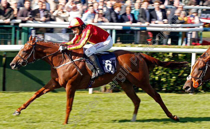 Off-Art-0002 
 OFF ART (Brian Harding) wins The Clipper Logistics Leger Legends Classified Stakes Doncaster 13 Sep 2017 - Pic Steven Cargill / Racingfotos.com