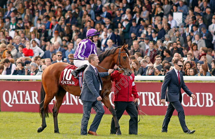 Japan-0002 
 JAPAN (Ryan Moore) with Aidan O'Brien
Longchamp 6 Oct 2019 - Pic Steven Cargill / Racingfotos.com