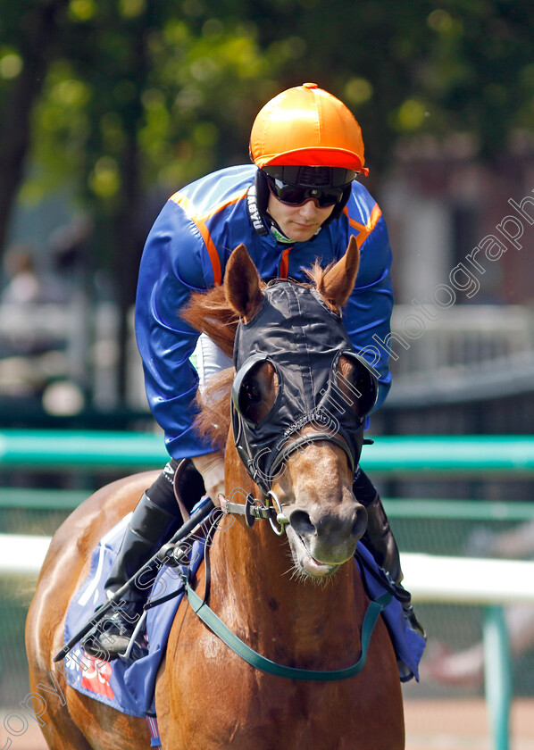 Mr-Wagyu-0001 
 MR WAGYU (Jason Hart)
Haydock 10 Jun 2023 - Pic Steven Cargill / Racingfotos.com