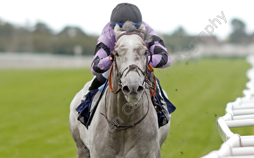 First-Folio-0003 
 FIRST FOLIO (Taylor Fisher) wins The National Horseracing Museum Supported By ARC Handicap
Yarmouth 15 Sep 2022 - Pic Steven Cargill / Racingfotos.com