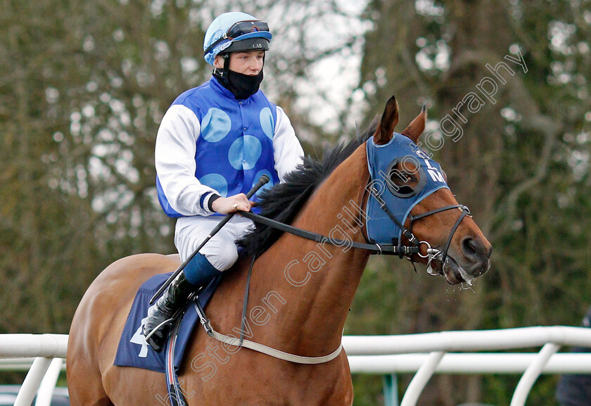 Rafiot-0001 
 RAFIOT (Rhys Clutterbuck) winner of The #Betyourway At Betway Handicap
Lingfield 1 Dec 2021 - Pic Steven Cargill / Racingfotos.com