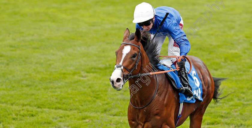 Military-March-0004 
 MILITARY MARCH (Oisin Murphy) wins The Dubai Autumn Stakes
Newmarket 12 Oct 2019 - Pic Steven Cargill / Racingfotos.com