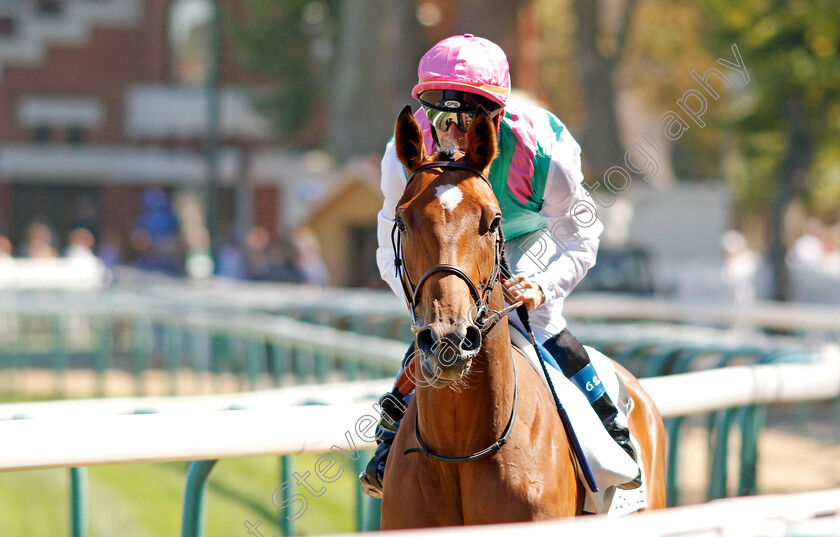 Ardent-0001 
 ARDENT (Olivier Peslier)
Deauville 6 Aug 2022 - Pic Steven Cargill / Racingfotos.com