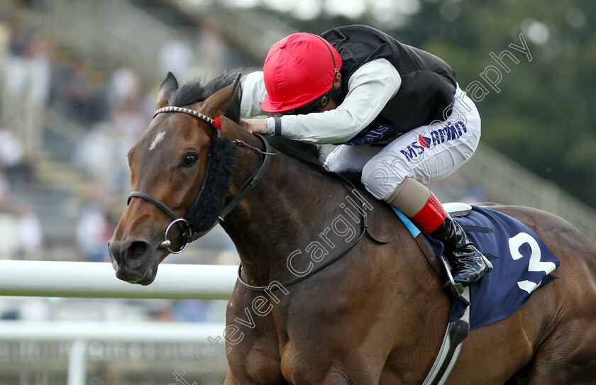 Ashington-0005 
 ASHINGTON (Andrea Atzeni) wins The England V Belgium Betting At 188bet Handicap
Newmarket 28 Jun 2018 - Pic Steven Cargill / Racingfotos.com