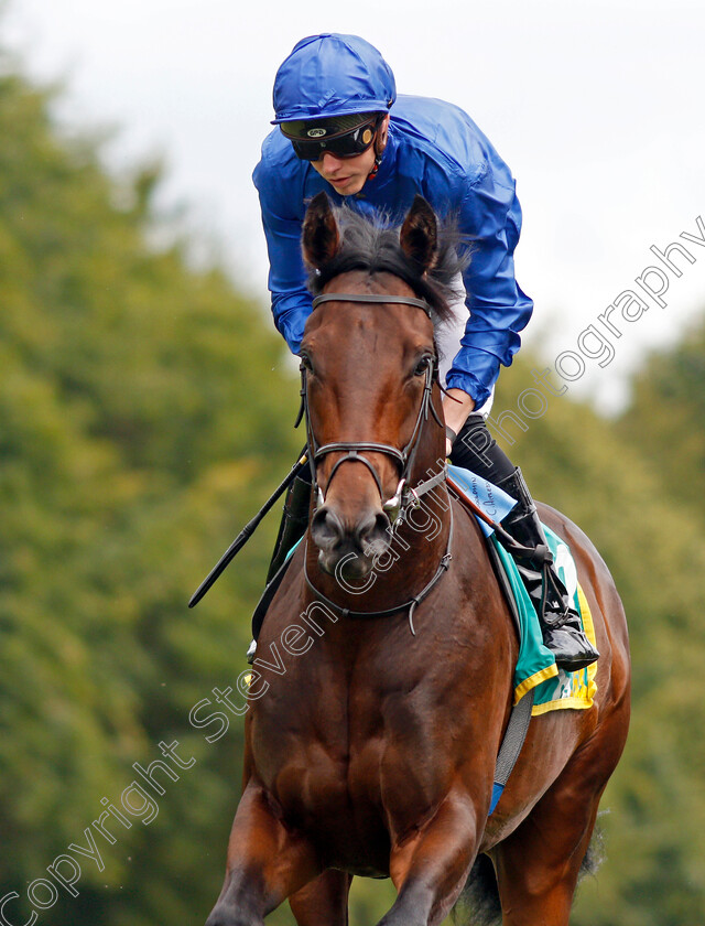 King s-Command-0002 
 KING'S COMMAND (James Doyle)
Newmarket 13 Jul 2019 - Pic Steven Cargill / Racingfotos.com