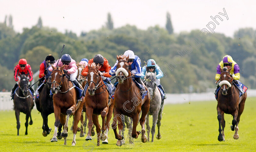 Marhaba-The-Champ-0004 
 MARHABA THE CHAMP (Ryan Moore) wins The Sky Bet Handicap
York 25 Aug 2023 - Pic Steven Cargill / Racingfotos.com