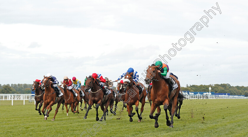 Equitation-0001 
 EQUITATION (Marco Ghiani) wins The Sodexo Handicap
Ascot 6 Sep 2019 - Pic Steven Cargill / Racingfotos.com