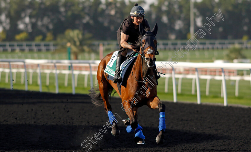 Emily-Upjohn-0002 
 EMILY UPJOHN training for The Sheema Classic
Meydan Dubai 27 Mar 2024 - Pic Steven Cargill / Racingfotos.com