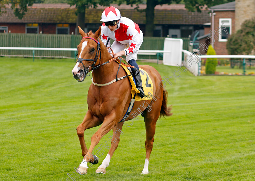 Holloway-Boy-0005 
 HOLLOWAY BOY (William Buick) winner of The Betfair Superior Mile Stakes
Haydock 7 Sep 2024 - Pic Steven Cargill / Racingfotos.com