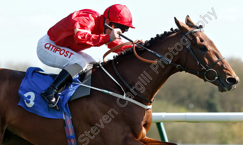 Elegiac-0002 
 ELEGIAC (Franny Norton) wins The Barry Hills Further Flight Stakes
Nottingham 10 Apr 2019 - Pic Steven Cargill / Racingfotos.com