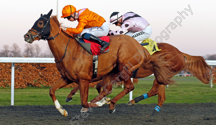 Rajman-0001 
 RAJMAN (David Probert) wins The All Weather Racing Information At sandform.co.uk Handicap
Kempton 4 Dec 2019 - Pic Steven Cargill / Racingfotos.com