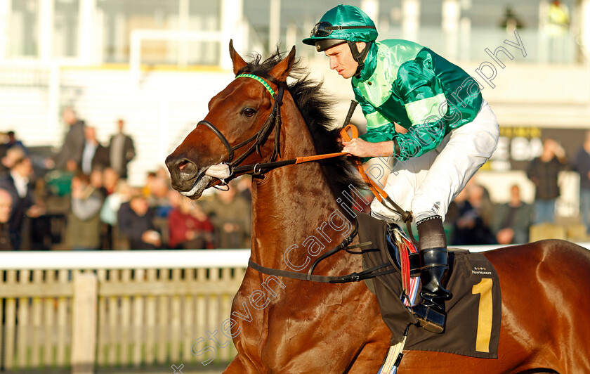 Balticum-0002 
 BALTICUM (Ryan Moore)
Newmarket 23 Oct 2024 - Pic Steven Cargill / Racingfotos.com