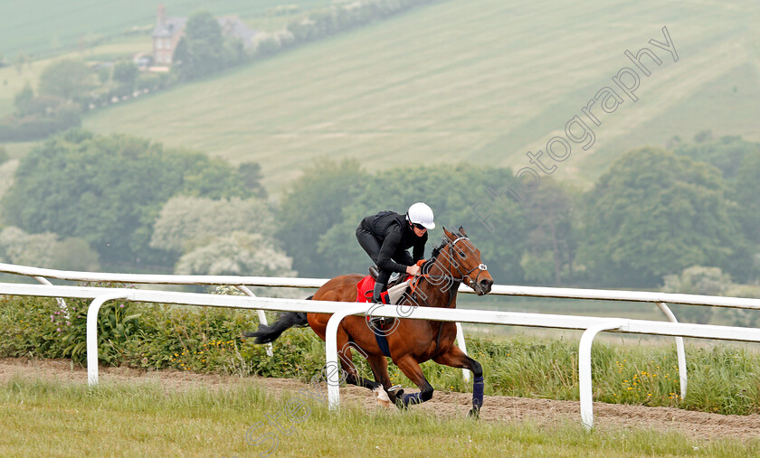 Battaash-0002 
 BATTAASH (Michael Murphy) exercising on the gallops of Charlie Hills, Lambourn 23 May 2018 - Pic Steven Cargill / Racingfotos.com