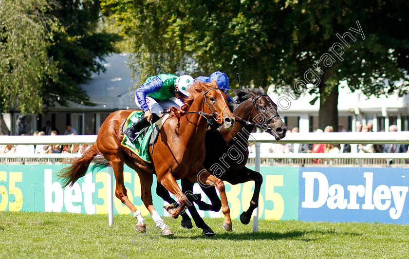 Isaac-Shelby-0005 
 ISAAC SHELBY (left, Sean Levey) beats VICTORY DANCE (right) in The bet365 Superlative Stakes
Newmarket 9 Jul 2022 - Pic Steven Cargill / Racingfotos.com