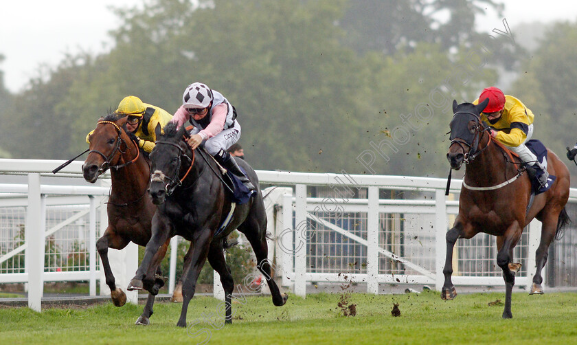 Beauty-Choice-0004 
 BEAUTY CHOICE (centre, Kieran Shoemark) beats MOTTRIB (left) and TUSCAN OASIS (right) in The Follow diamondracing.co.uk Novice Stakes
Chepstow 9 Jul 2020 - Pic Steven Cargill / Racingfotos.com