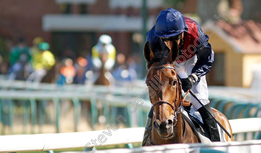 Adeva-0001 
 ADEVA (Christophe Soumillon)
Deauville 6 Aug 2022 - Pic Steven Cargill / Racingfotos.com